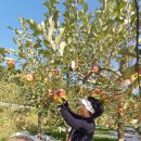 구월농장 이미지