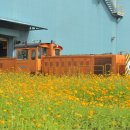 코스모스 산업 이미지