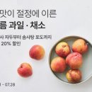 제철기획 티스토리