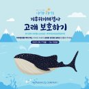 아가방플렉스 이미지