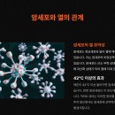 닥터K