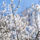 우산천 이미지