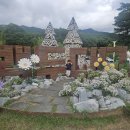 자연체계-산 | 가족이 머물다 온 자연, 봉화 백두대간수목원 &amp; 봉자페스티벌 후기