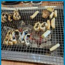 대복장어마을 | 평택장어 대복장어마을, 평택의 신규명소,부드러운 장어의 참맛