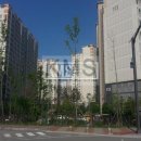 디자인공인중개사사무소 이미지