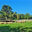 동선2목장 이미지