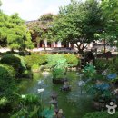 사림동284 이미지