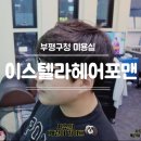 이스텔라헤어포맨 이미지