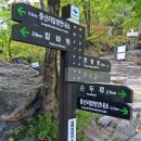일산메아리산악회 2026년 10월 정기산행 지리산 산행기(261010) 이미지