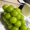 해찬농장 이미지