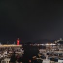 낭만애견 이미지