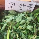 산채상회 네이버블로그