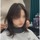 헤어바이지윤