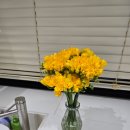 바른길약국 이미지