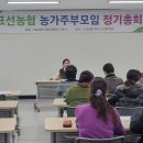 표선 이미지