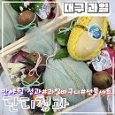 단디청과