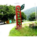 풋감마을 이미지