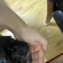 바로나온누리약국 이미지