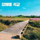 강매동 석교 | 고양 강매동 석교 강매석교공원 코스모스