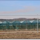 경기둘레길 안성43코스 이미지