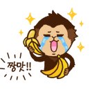 점핑몬스터 서귀포점 이미지