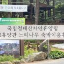 횡성군관광안내소 이미지