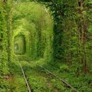 이루어짐 헬스 이미지