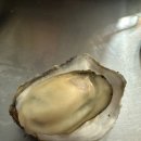 용재농원