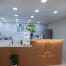 케이디펫 이미지