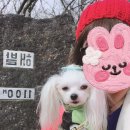 성판악입구 ↔ 숲터널입구 이미지