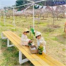 황암농장 네이버블로그