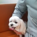 견생공방 이미지