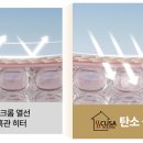 건강사우나
