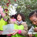 보리수어린이집 이미지