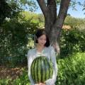 웰빙식자재마트