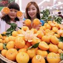 돌빌레 연합뉴스