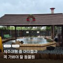 제주신화월드행복공작소 | 제주카피바라 보러 어디갈까? 아이들과 모모쥬 제주신화월드점 방문 후기