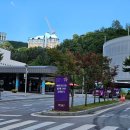 베르사이유모텔 | 정선숙소 고민하다 머물러본 베르사유 모텔 솔직 후기