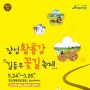 황룡강 꽃길 이미지