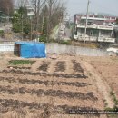 대학어린이집 이미지