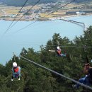 팔딱팔딱 이미지