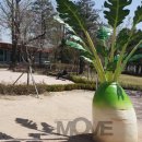 칼럼을 통한 세상 이야기:우리 같이 함께 이미지