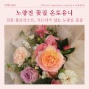 노량진꽃집 유니플라워앤가든 온토유니, 분갈이 가능한 노량진역 꽃집
