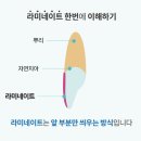 사랑이치과의원 이미지