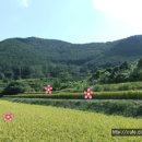 (매매완료)경남고성토지매매.. 동해면 산자락 호수같은 바다전망과 들판풍경이 이쁜 토지, 전원주택지매매입니다.. 1214평 이미지