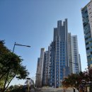 부동산청담우리부동산중개 이미지