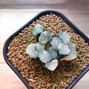 만상농장 이미지