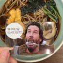 볼볼티 이미지