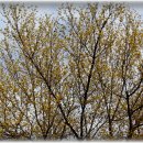 남경수산 이미지