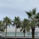 메종다원 이미지